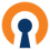 OpenVPN