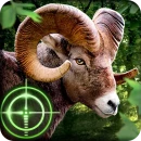 Wild Hunter 3D Download