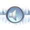 Soft4Boost Any Audio Grabber