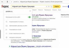 Adguard для Яндекс Браузера Скриншот 5