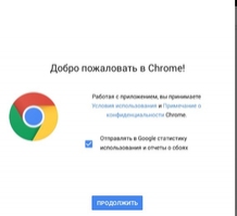 Google Chrome Скриншот 2